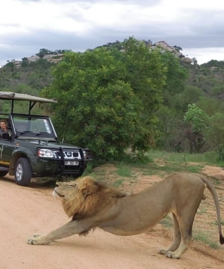Kruger National Park South Africa