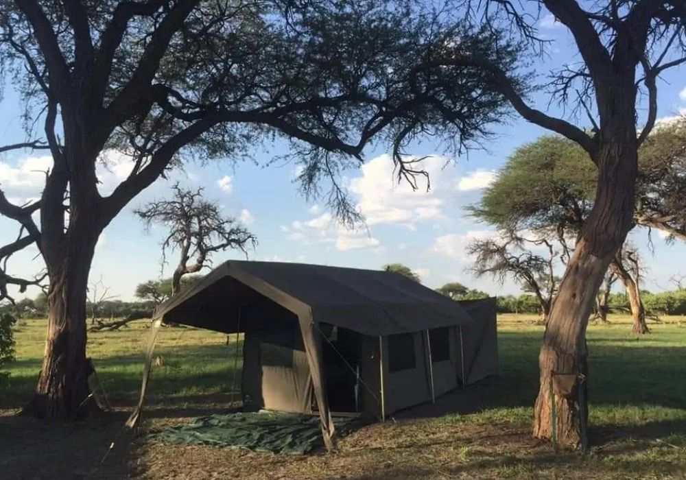 12-day-mokoro-camping-tour