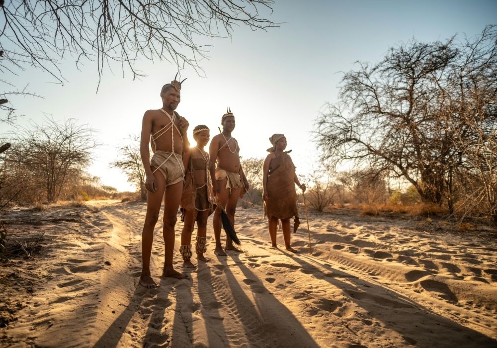 5-day-wonders-of-botswana-safari