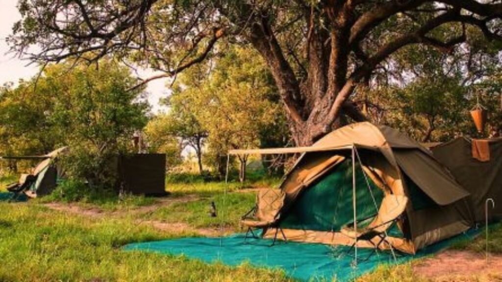 8-day-okavango-camping-tour