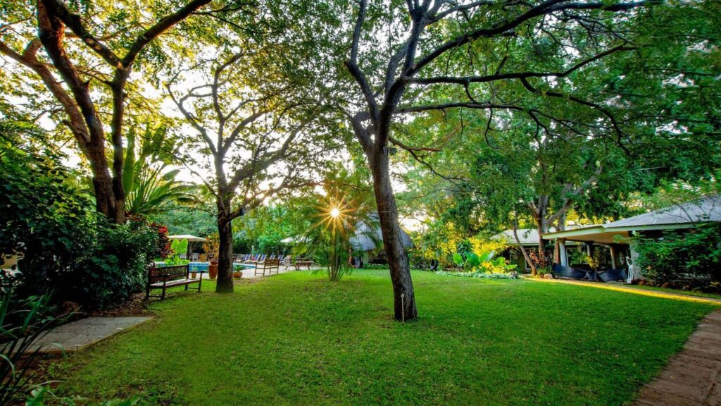 bayete-guest-lodge-grounds