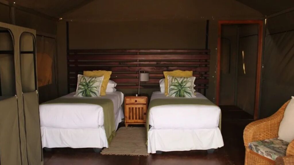 bedroom-view-at-elephant-sands-lodge