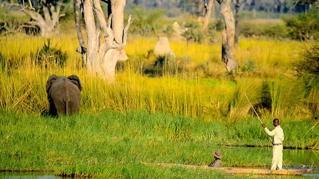 boats-at-oddballs-enclave