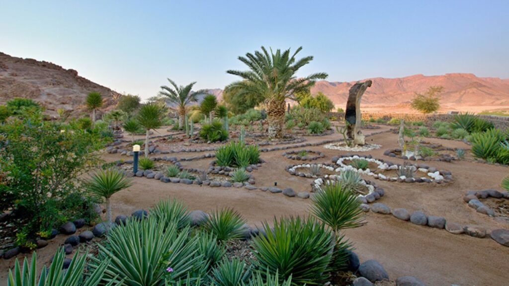 brandberg-white-lady-lodge-view