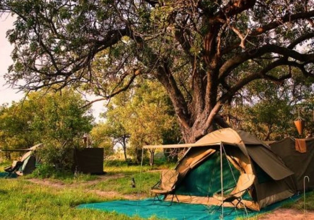 camping-safari-at-nxai-pan-camp