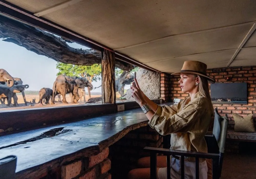 elephant-herd-in-hwange-national-park