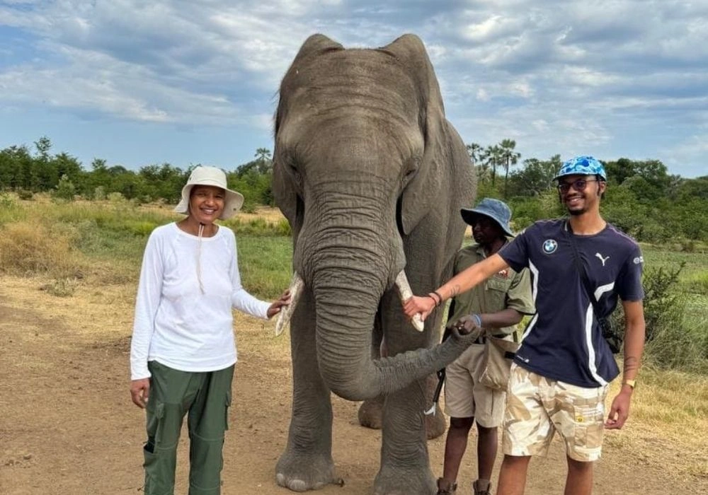 elephant-interaction-tour-in-zimbabwe