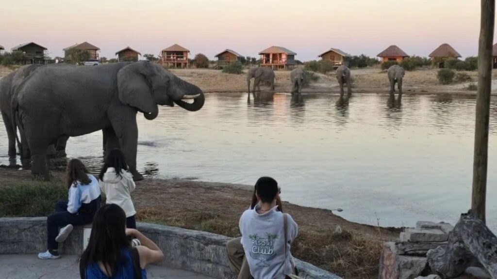 elephant-sands-lodge