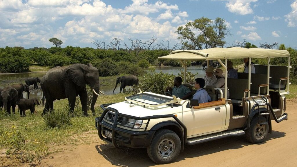 elephants-spotted-on-a-chobe-national-park-game-drive