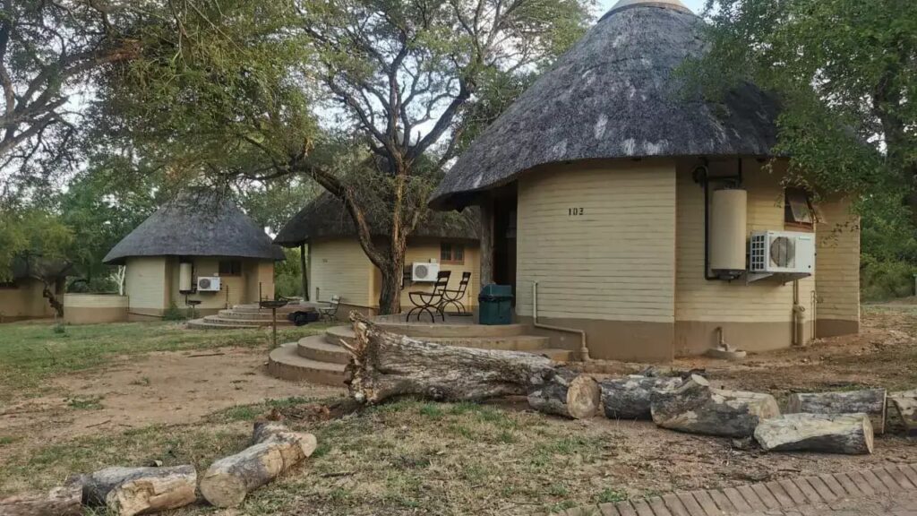 kruger-national-park-safaris