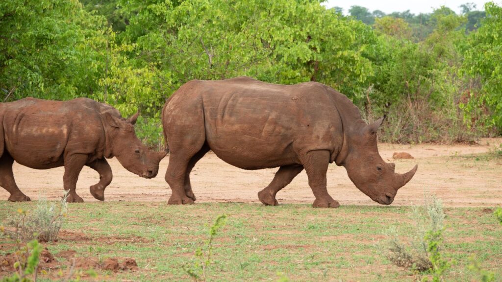 mosi-oa-tunya-national-park