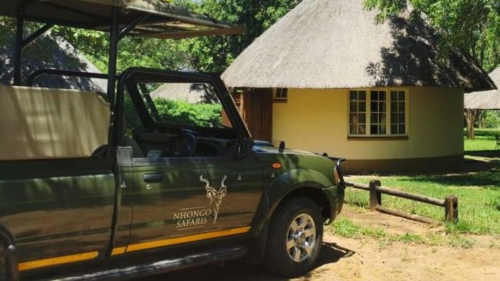 nhongo-safaris-kruger-national-park-safari-operator
