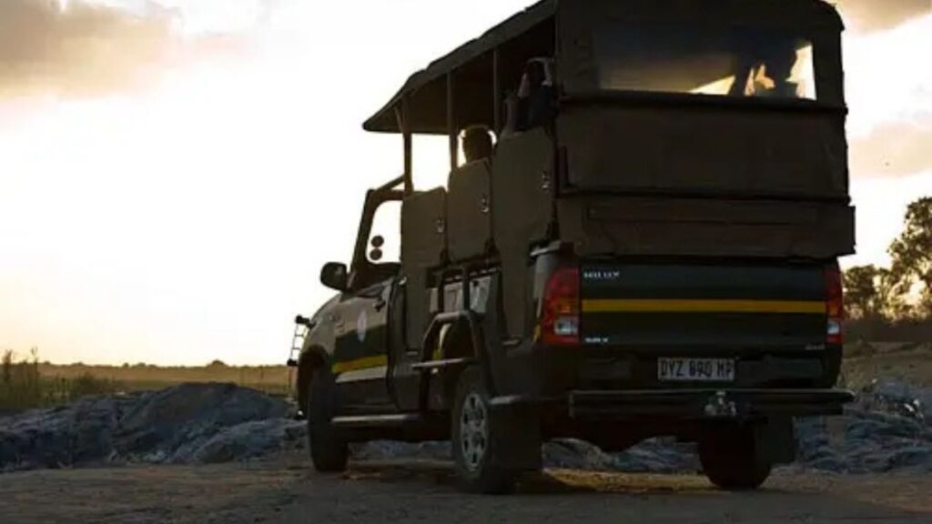 night-drive-sanparks