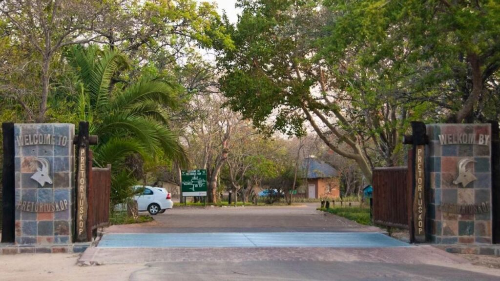 pretoriuskop-rest-camp-kruger-national-park