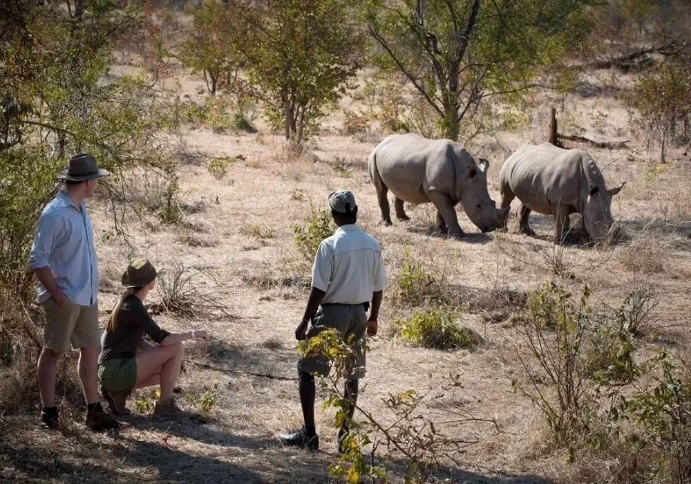 rhino-walking-safaris-in-zambia