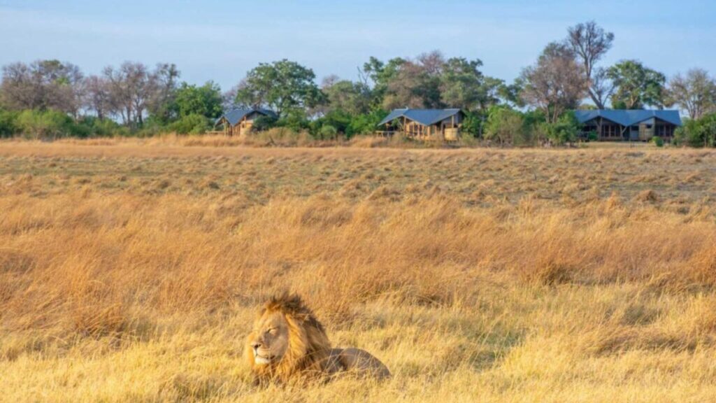 splash-camp-view-outside