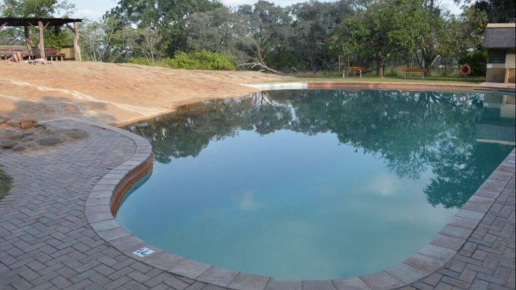 swimming-pool-kruger-park