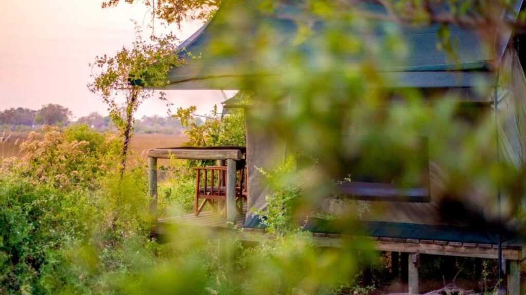 tent-accommodation-oddballs'-enclave