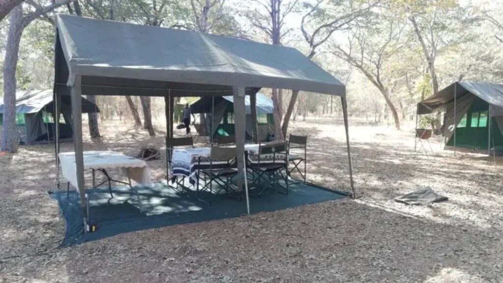 tent-setup-on-a-camping-tour