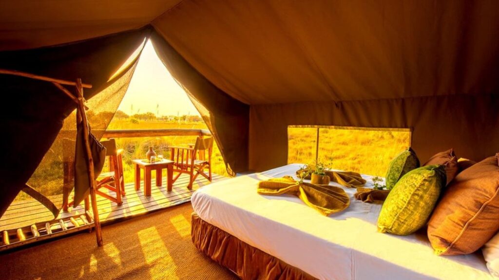 tent-twin-room-oddballs'-enclave