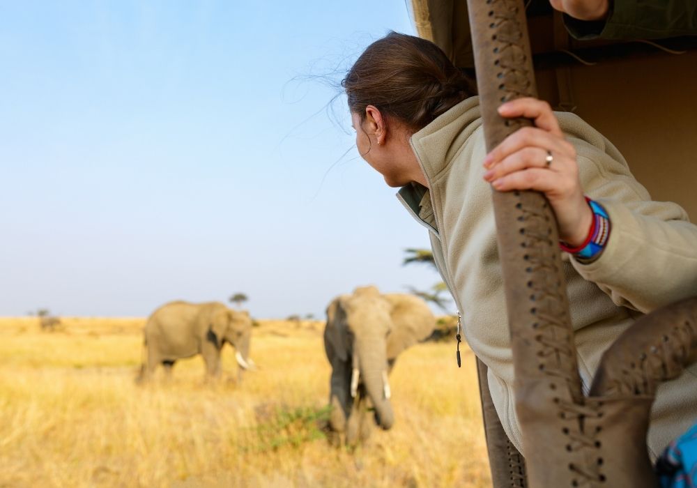 victoria-falls-game-drive