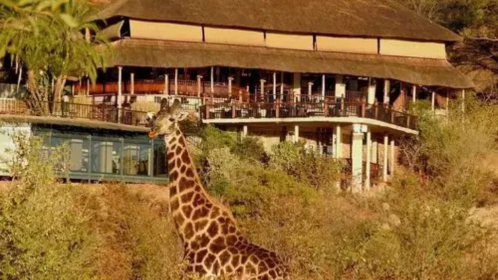 victoria-falls-safari-lodge-zimbabwe-accommodation