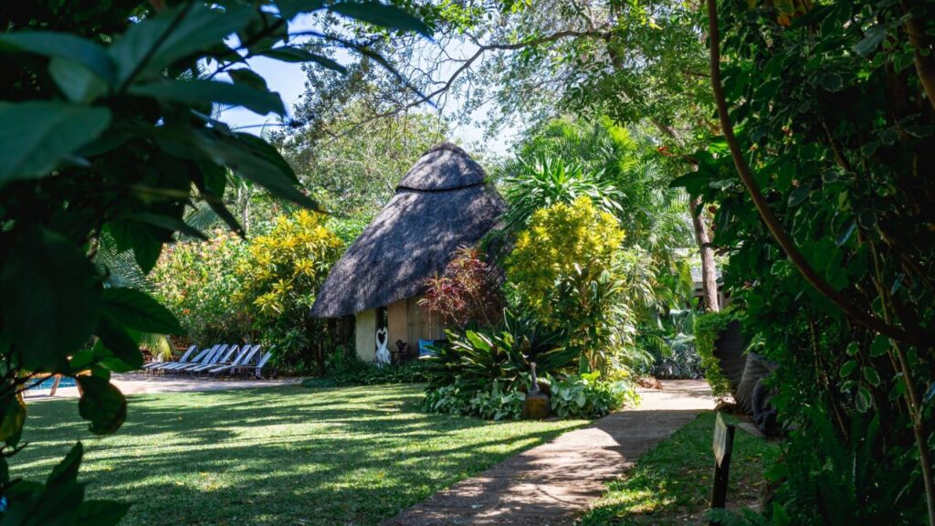 view-of-bayete-guest-lodge