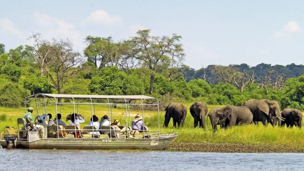 viewing-elephants-from-a-boat-in-botswana