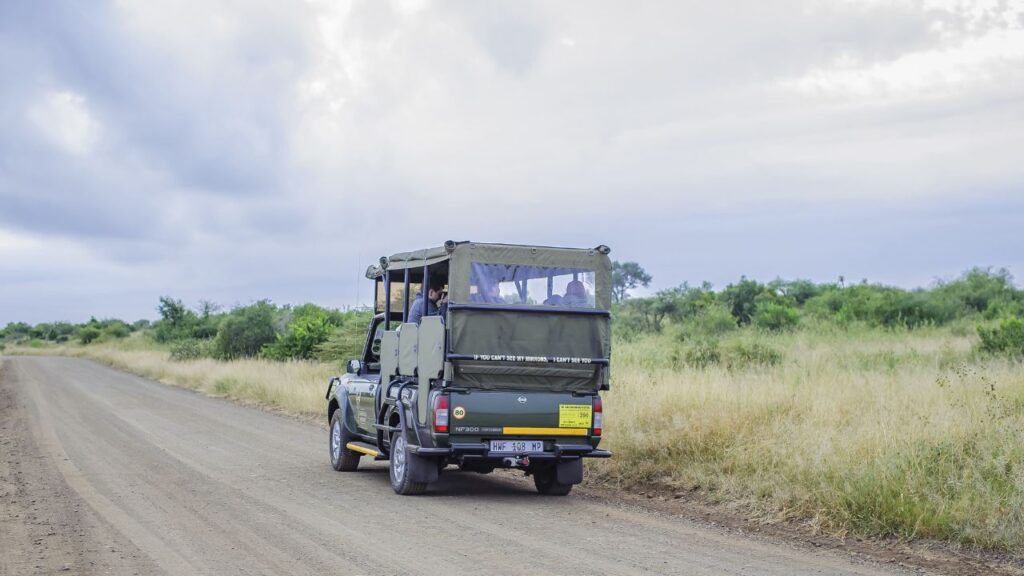 wildlife-viewing-kruger-safari