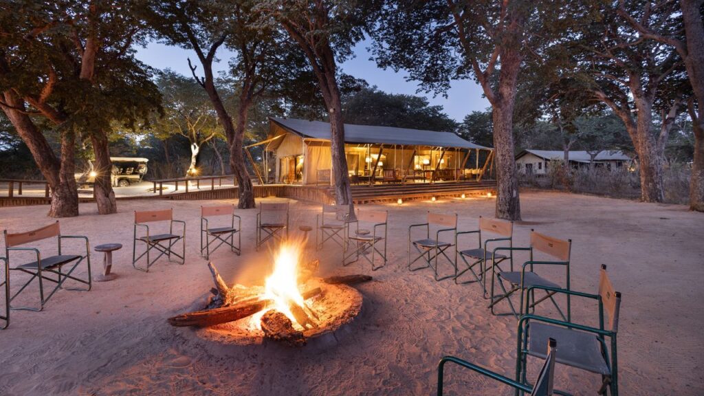 camp-fire-under-the-night-sky