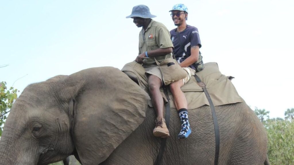 elephant-interation-zimbabwe