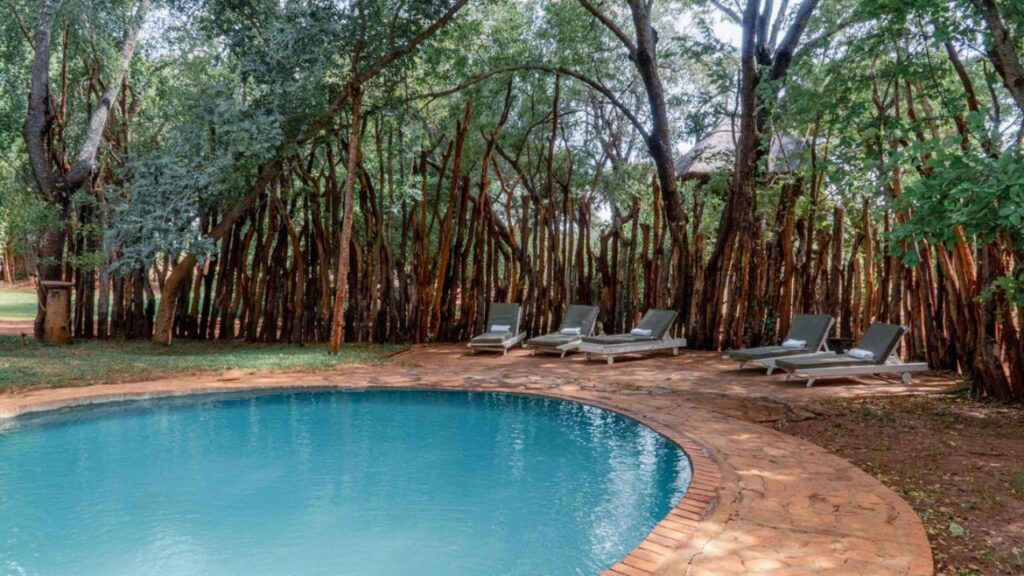 ivory-lodge-swimming-pool