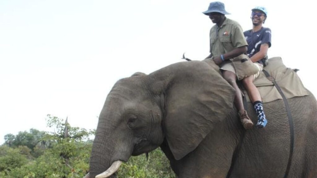 riding-with-elephants